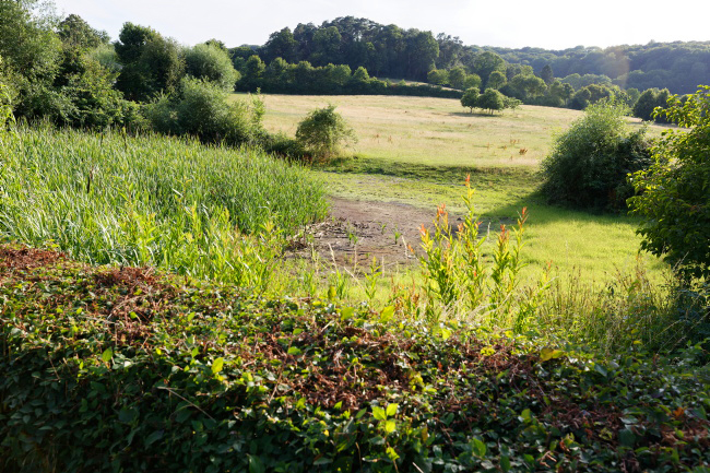 Johannisbach Weiher
